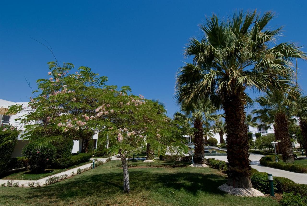 Maritim Jolie Ville Resort & Casino Sarm es-Sejk Kültér fotó The campus of the University of Patras